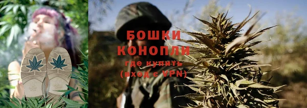 a pvp Белокуриха