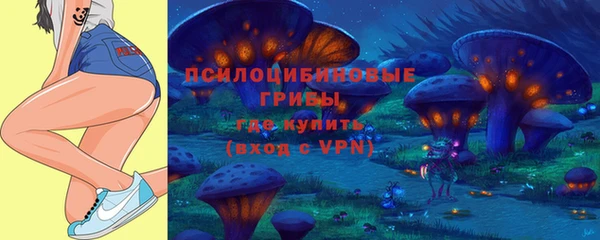 a pvp Белокуриха